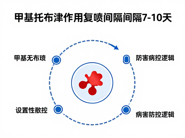 甲基托布津作用与复喷，间隔7-10天科学使用指南
