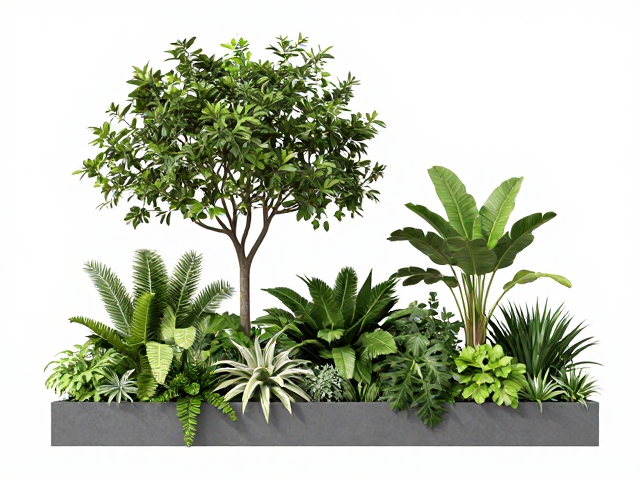 植物拼盘的光照需求解析与微气候调节