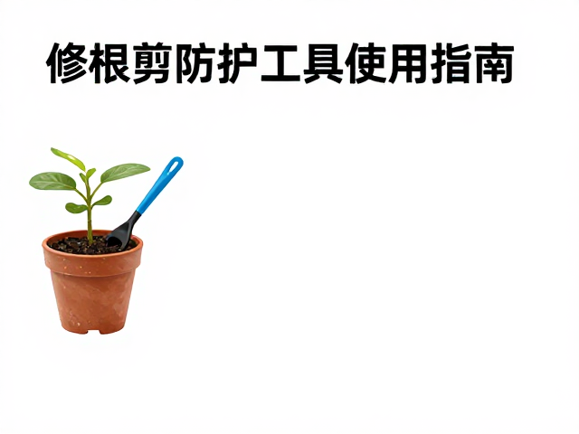 日常维护与使用寿命管理