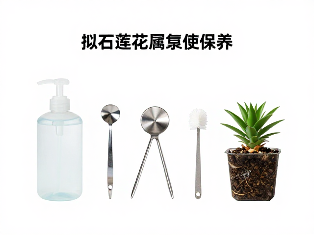 拟石莲花属繁殖工具保养，高锰酸钾消毒与日常维护指南