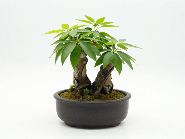 细节工艺与安全考量