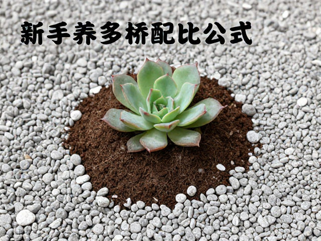 铺面石选哪种最透气:材质特性与铺面逻辑