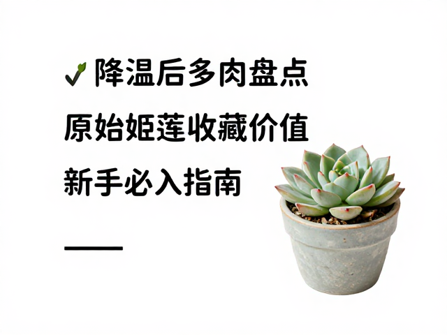 新手避坑与长期养护建议