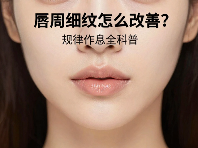 规律作息与内部机能调节