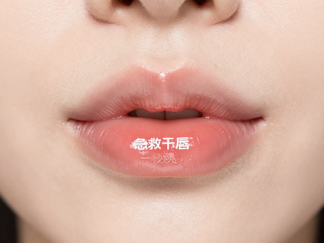 柔软弹润的使用场景与体验反馈