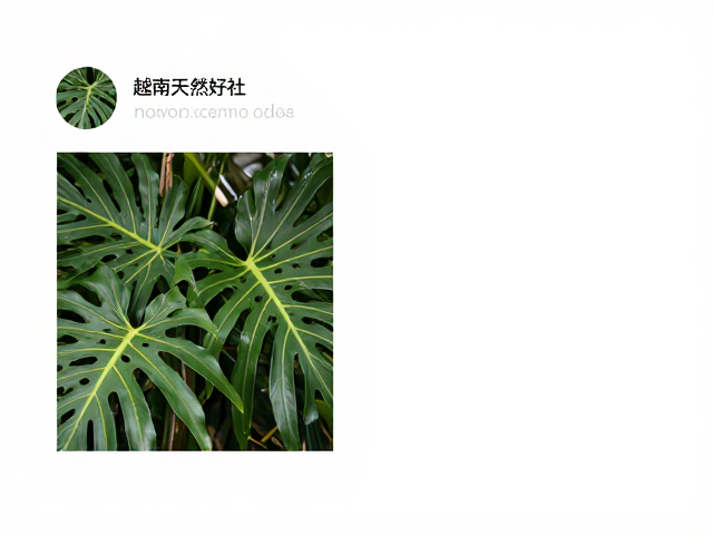 社媒种草的传播逻辑与用户心理