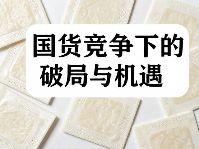 国货品牌的市场突围与供应链重构