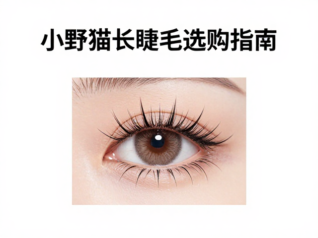 小野猫造型假睫毛的分区搭配技巧