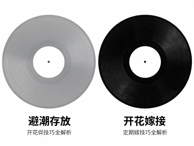 长期保存与定期检查机制