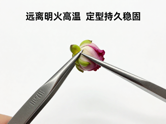夹持角度与固定技巧对花苞定型的影响