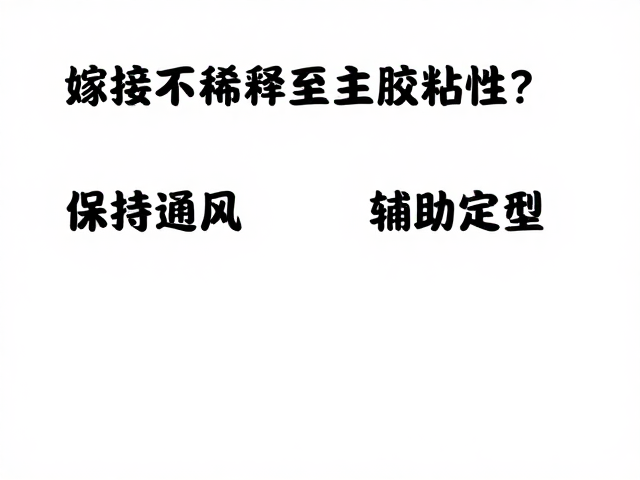 嫁接不稀释主胶粘性？保持通风，辅助定型，新手必看的实操技巧