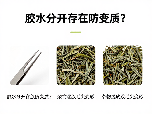 镊子使用规范与茶叶形态保护
