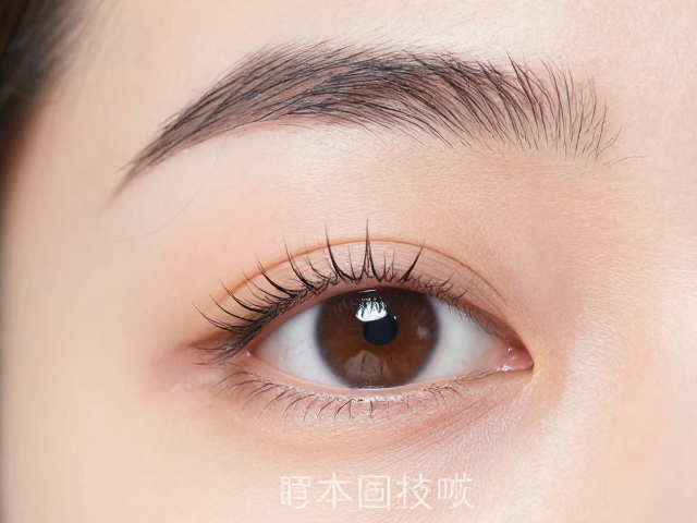 固化期间的物理定型与操作手法
