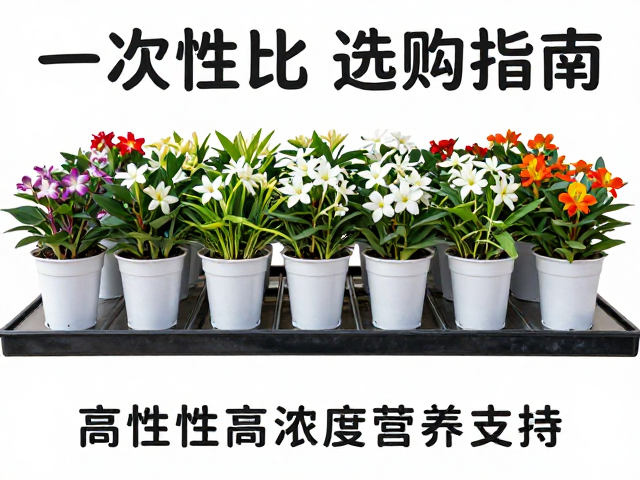 促花关键期，一次性高浓度营养支持