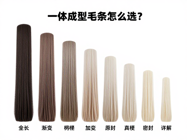 渐变长度毛条的视觉逻辑与密封原理