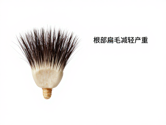 根部扁毛减轻负重的力学原理