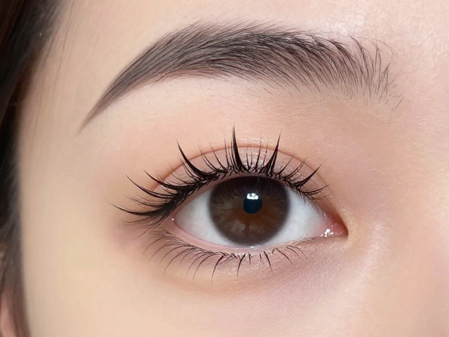 L型翘睫毛搭配胶水托盘，C卷日常款妆效持久不塌