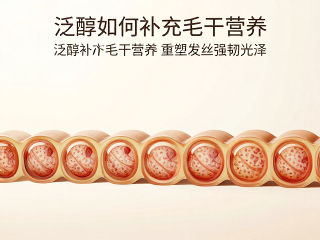 深入毛干的营养补充路径