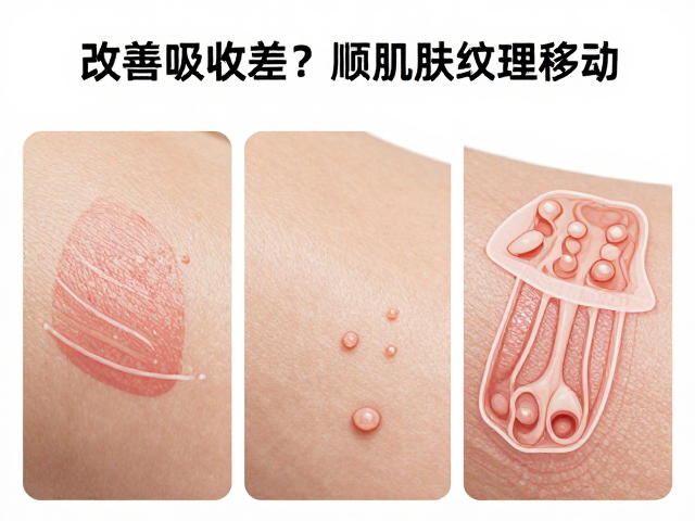 吸收效率的提升路径与科学验证