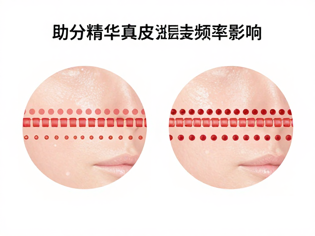 吸收效率与使用频率的动态关系