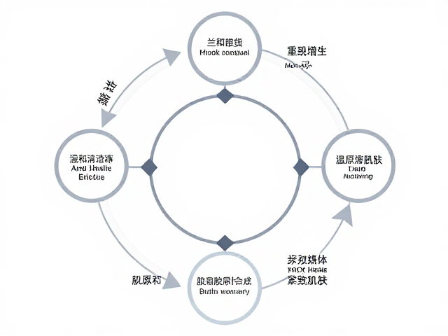 重现紧致肌肤的科学路径