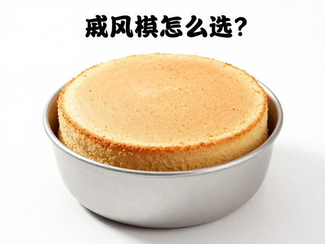 尺寸与高度:匹配配方与模具结构的关键