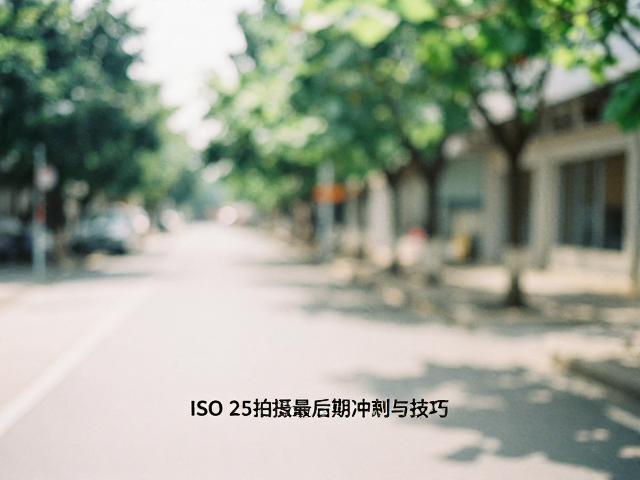 色彩管理与后期冲洗建议