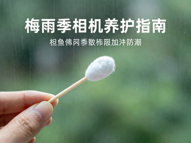 防潮存储与日常维护习惯