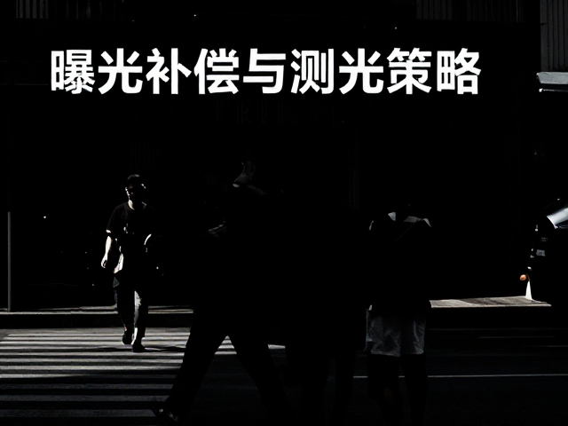 技术掌控:曝光补偿与测光策略