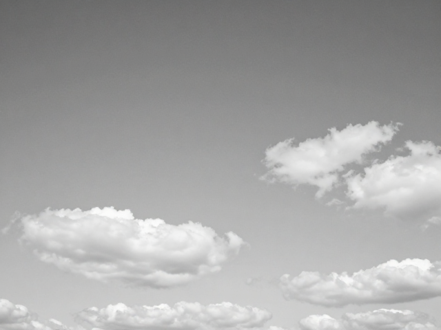 日光下的经典灰阶:HP5 Plus的曝光逻辑