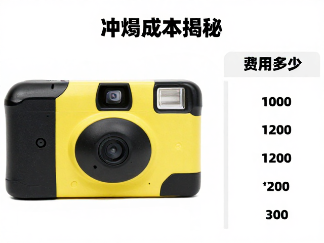 不同冲扫渠道的价格差异分析