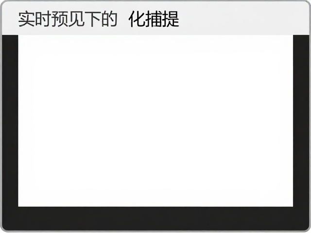 帧率选择与动态捕捉的平衡策略