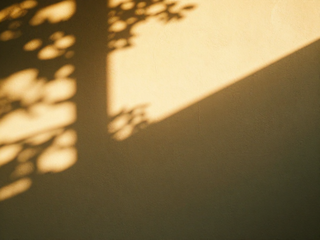 模拟胶片质感的光影重塑