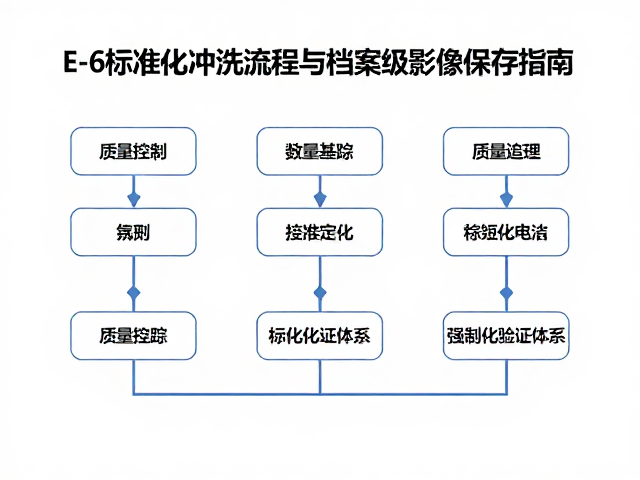 质量控制：数据追踪与标准化验证体系