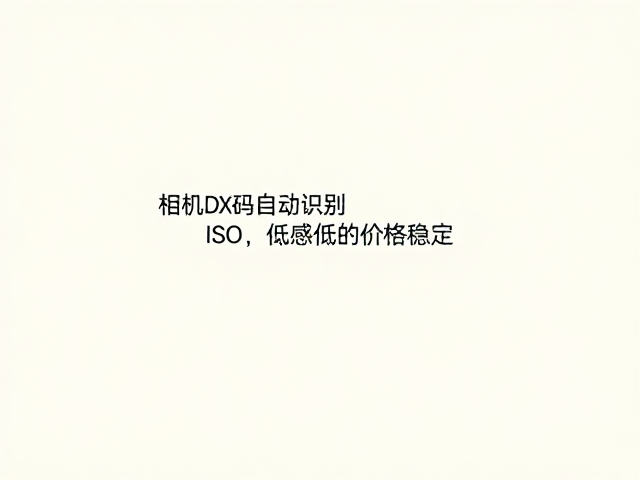 胶片摄影新体验下的创作自由
