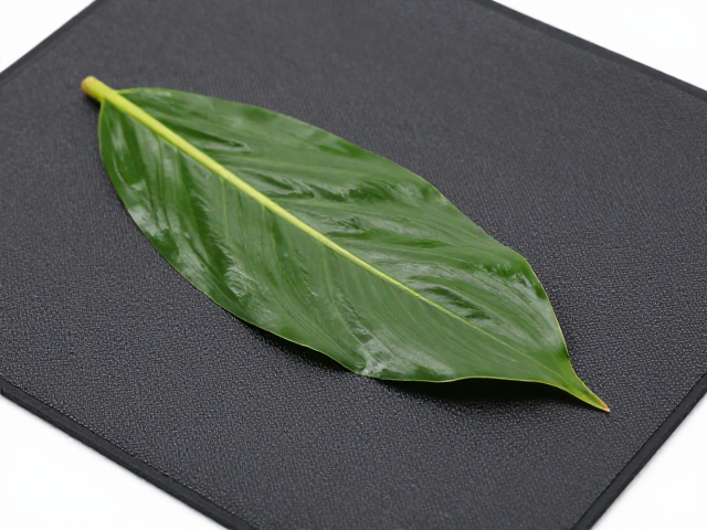 日常保养与状态监测细节