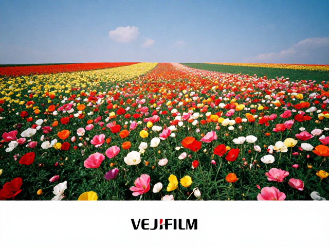 胶片模拟的极致:Velvia 50的色彩基因