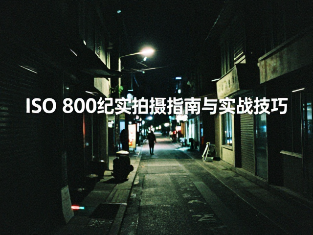 胶片特性与ISO 800的曝光平衡