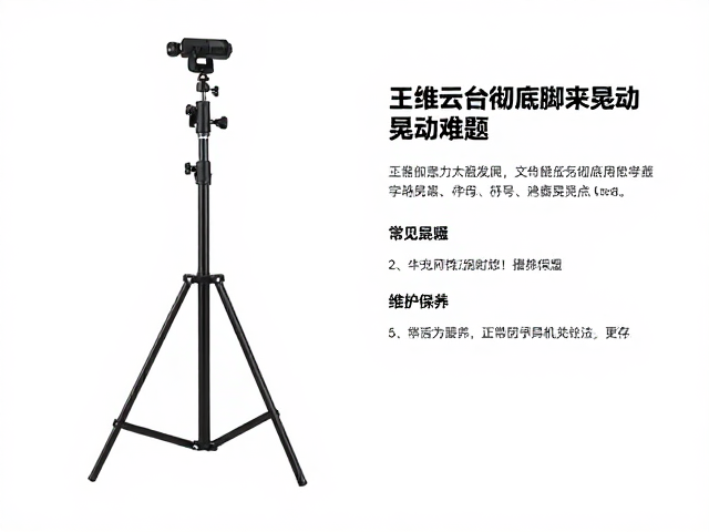 常见误区与维护保养要点