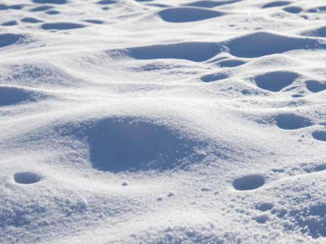 白雪细节的真实还原