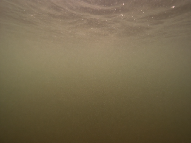 4K潜水浑浊水下素材,白天轻微降噪保留画面质感