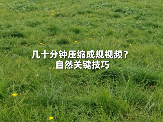 视觉心理学与短视频节奏
