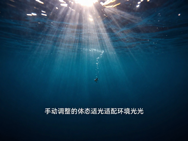 环境光适应与动态范围管理