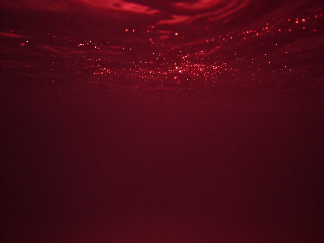 水下拍摄关闭畸变加红滤镜，24fps定格高速动作电影感大片