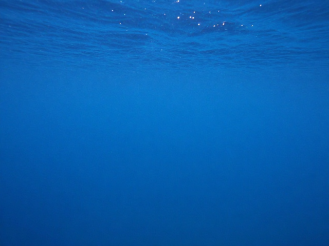 搭配水下滤镜优化海水色偏的策略
