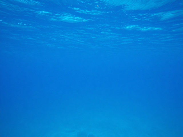 浅海防水拍摄防偏蓝,保持镜头清洁,搭配水下滤镜优化海水色偏