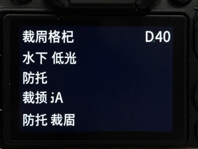 裁切策略与水下低光环境下的增益控制