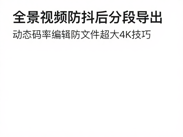 动态码率编码策略与文件大小控制