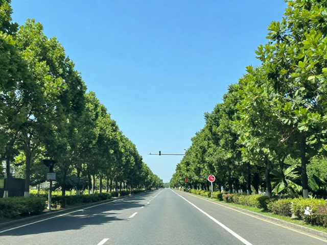 保留RAW与原片:为后期矫正预留空间