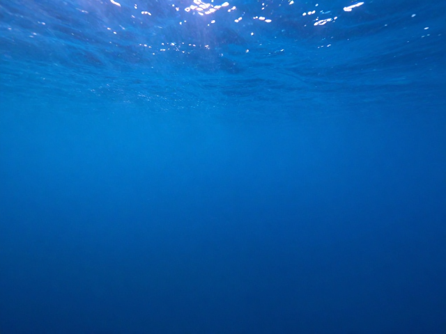 搭配水下滤镜优化海水偏蓝,广角视野,机身便携性实测